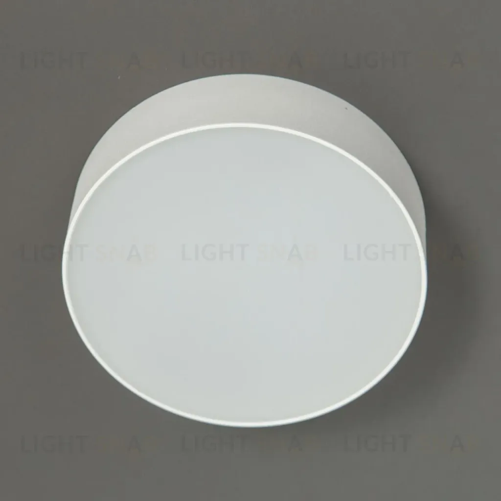 Накладной светодиодный светильник Citilux Тао CL712120N CL712120N