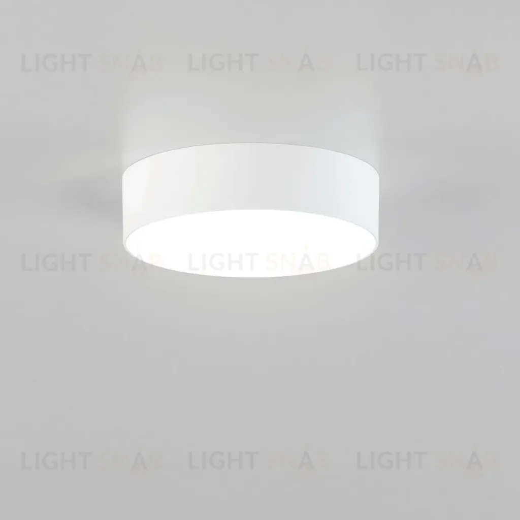 Накладной светодиодный светильник Citilux Тао CL712120N CL712120N
