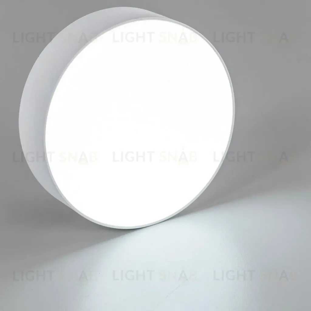 Накладной светодиодный светильник Citilux Тао CL712120N CL712120N