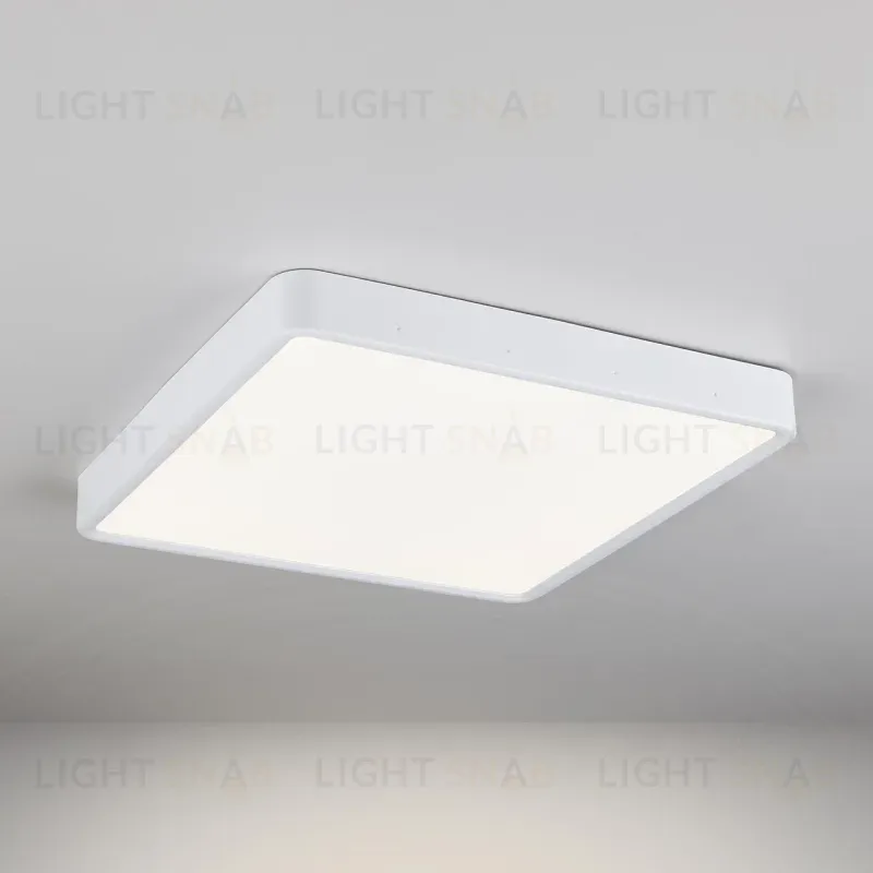 Потолочный светодиодный светильник Elektrostandard DLS034 24W 4200K 4690389134630 4690389134630