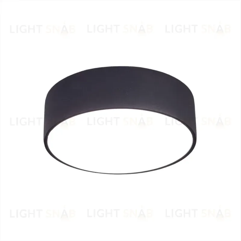 Накладной светодиодный светильник Citilux Тао CL712122N CL712122N