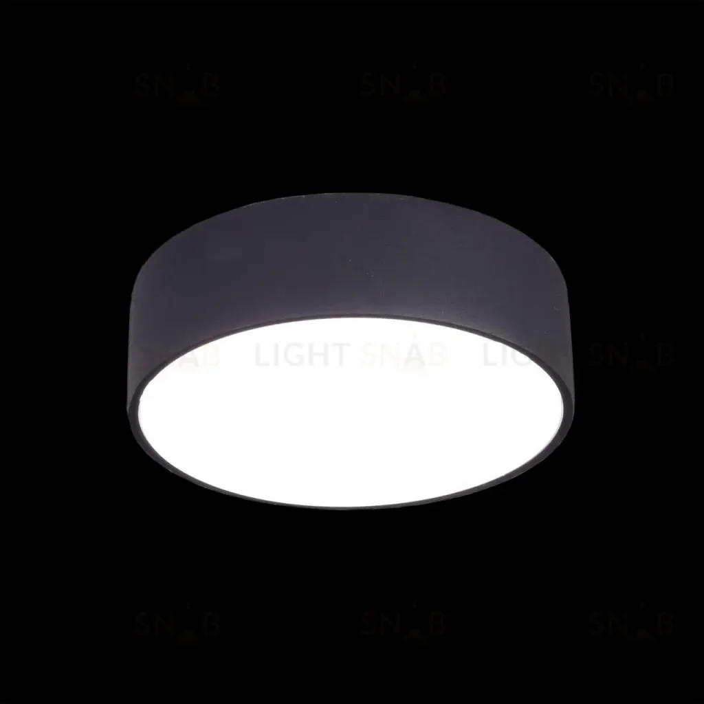 Накладной светодиодный светильник Citilux Тао CL712122N CL712122N