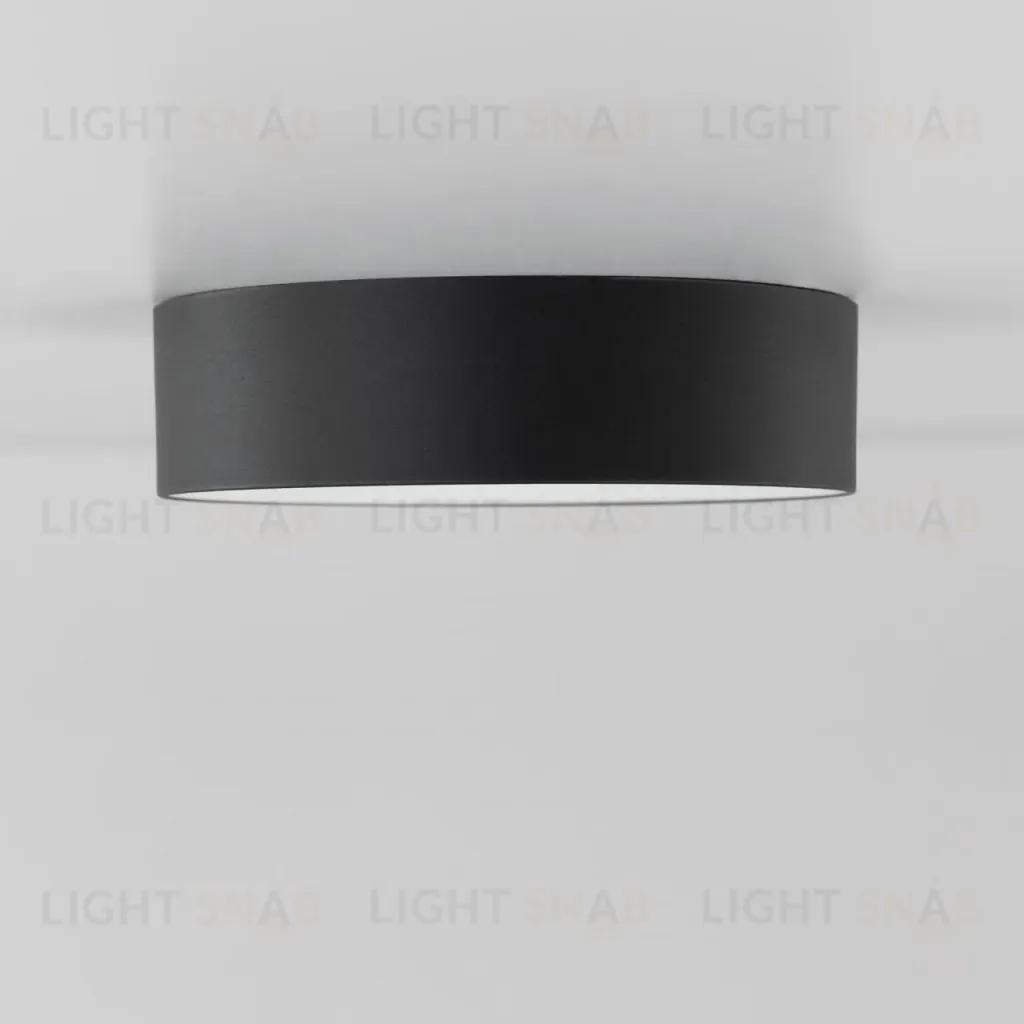 Накладной светодиодный светильник Citilux Тао CL712122N CL712122N