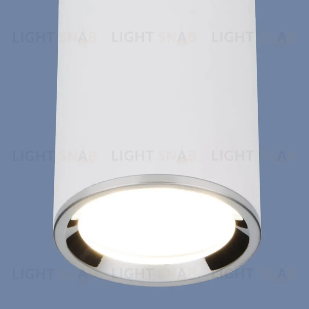 Потолочный светильник Elektrostandard DLN101 GU10 WH белый 4690389135859 4690389135859