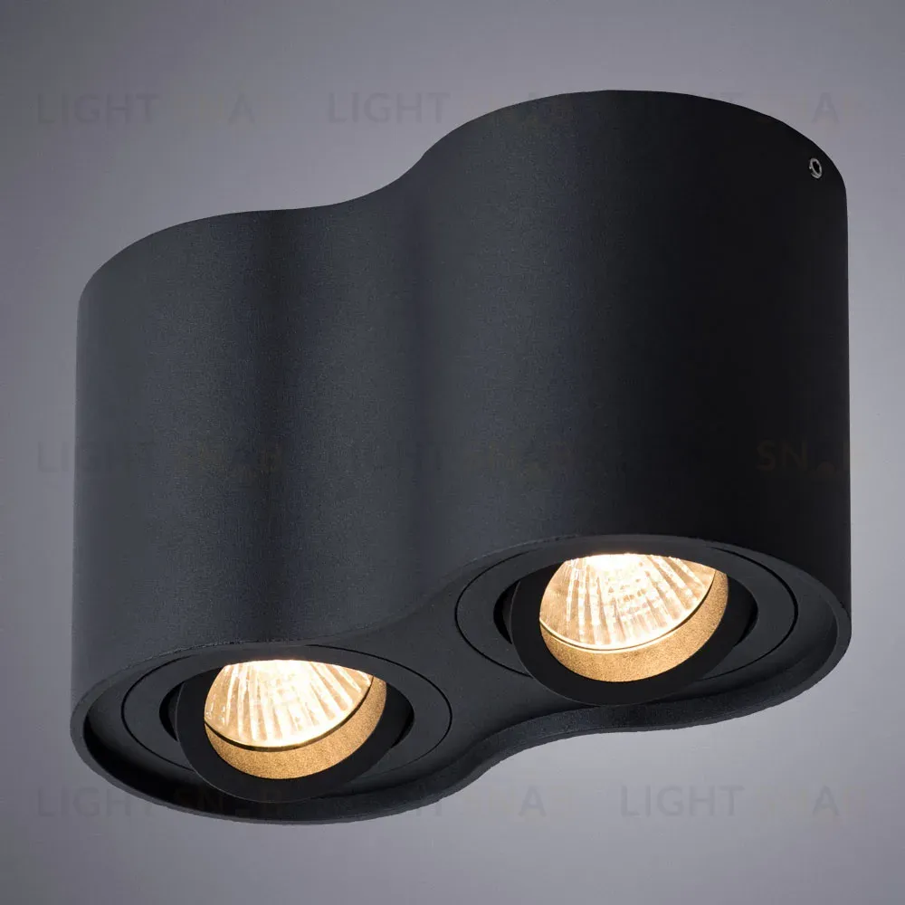 Потолочный светильник Arte Lamp Falcon A5645PL-2BK A5645PL-2BK