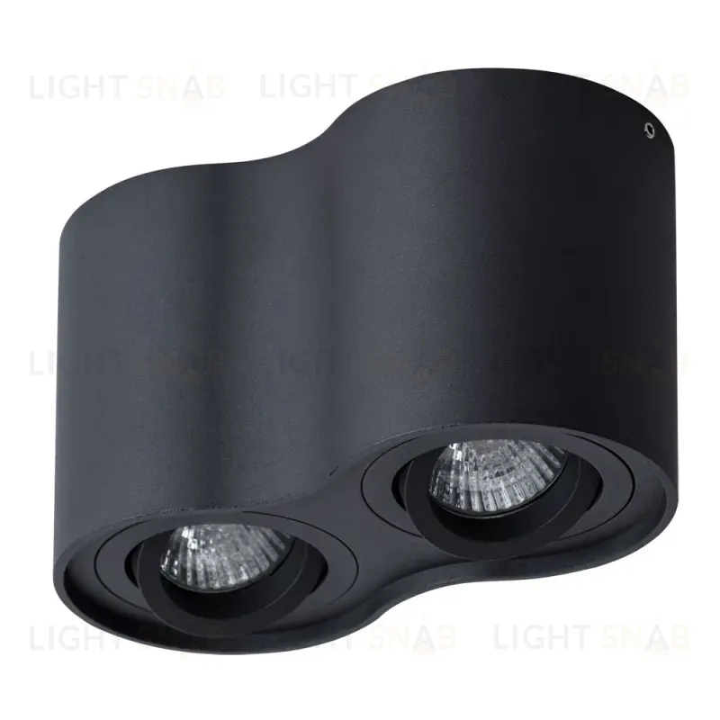 Потолочный светильник Arte Lamp Falcon A5645PL-2BK A5645PL-2BK