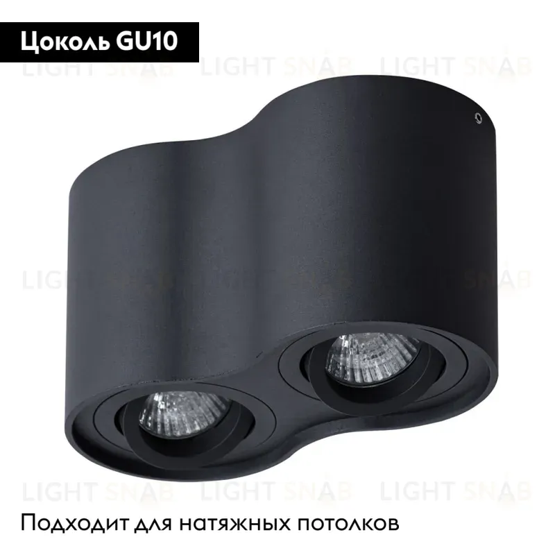 Потолочный светильник Arte Lamp Falcon A5645PL-2BK A5645PL-2BK