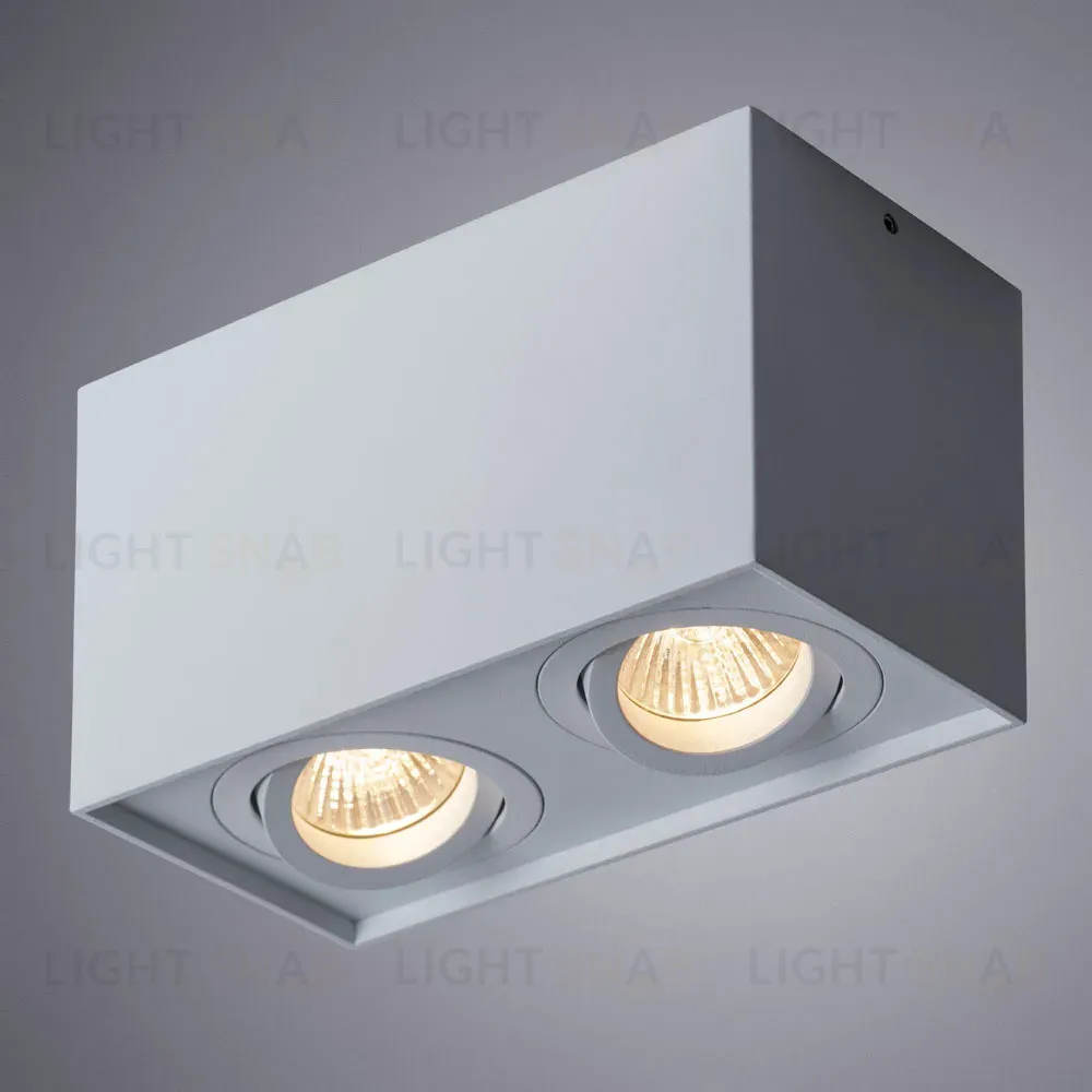 Потолочный светильник Arte Lamp Factor A5544PL-2WH A5544PL-2WH