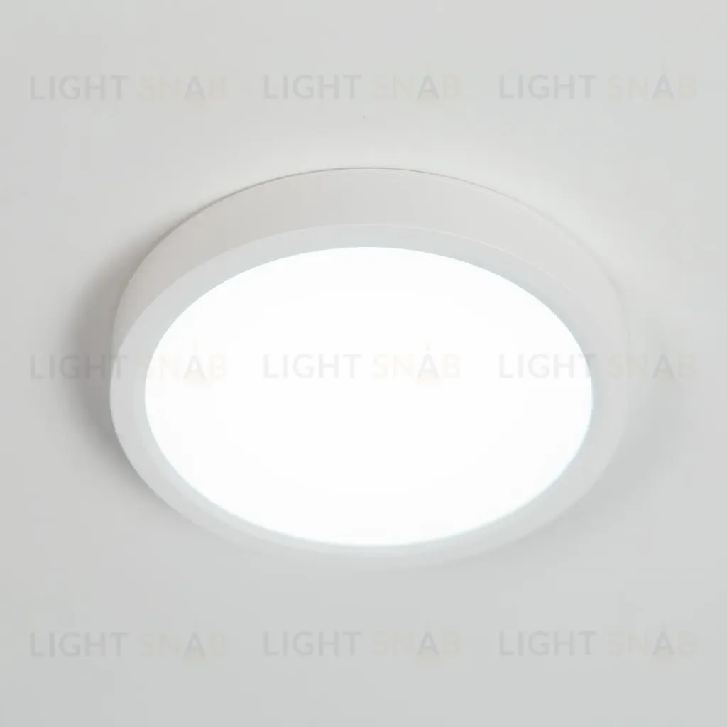 Накладной светильник Citilux CL738120N CL738120N