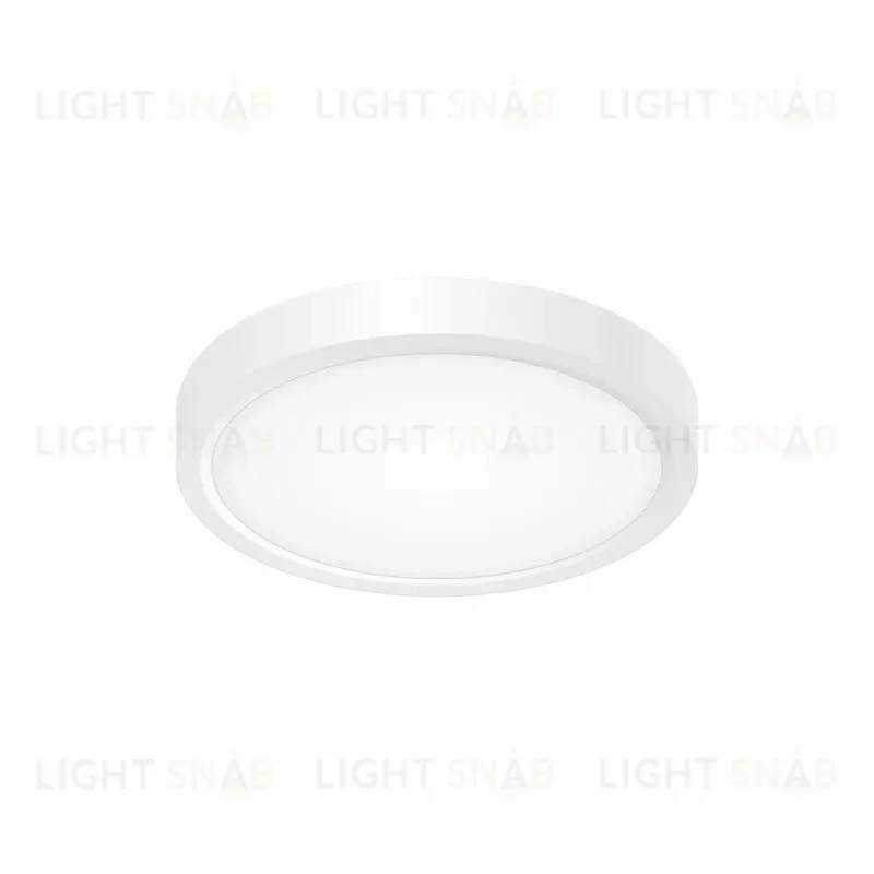 Накладной светильник Citilux CL738120N CL738120N