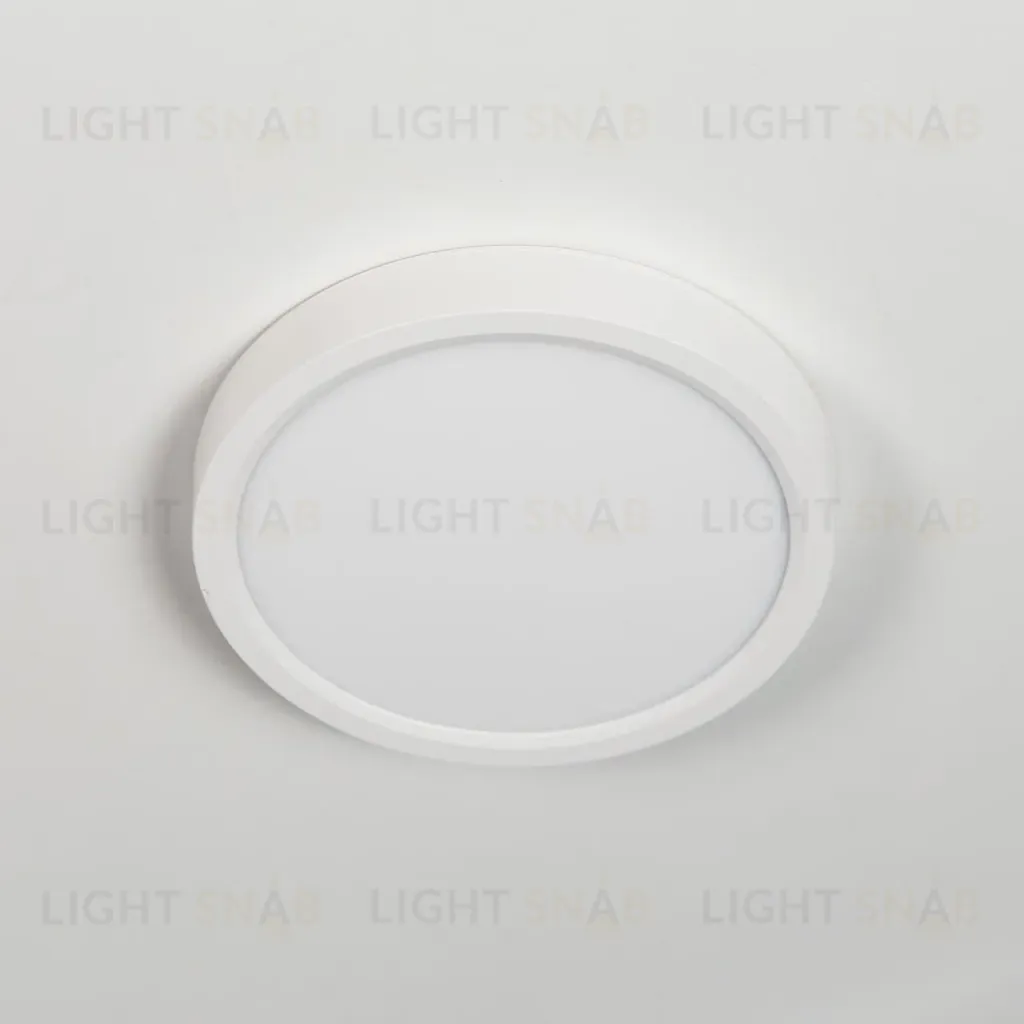 Накладной светильник Citilux CL738120N CL738120N