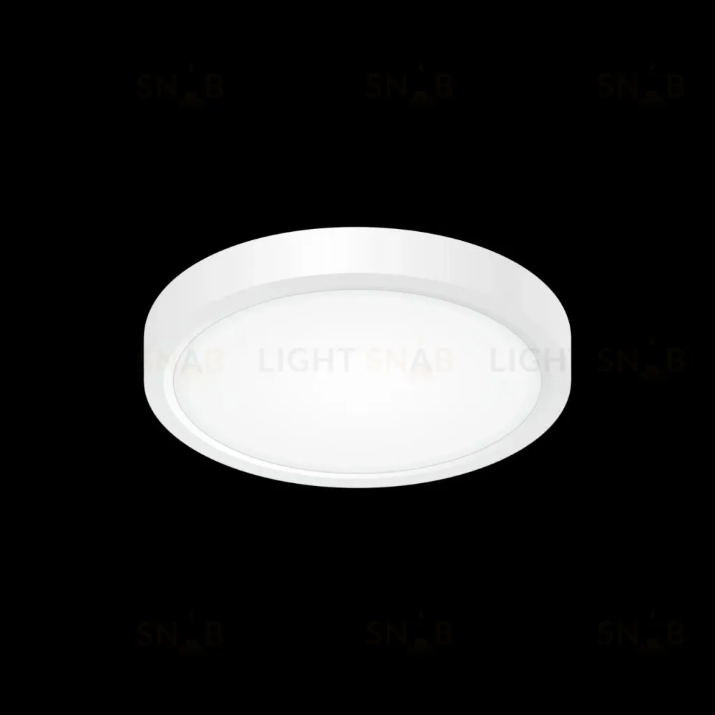 Накладной светильник Citilux CL738120N CL738120N