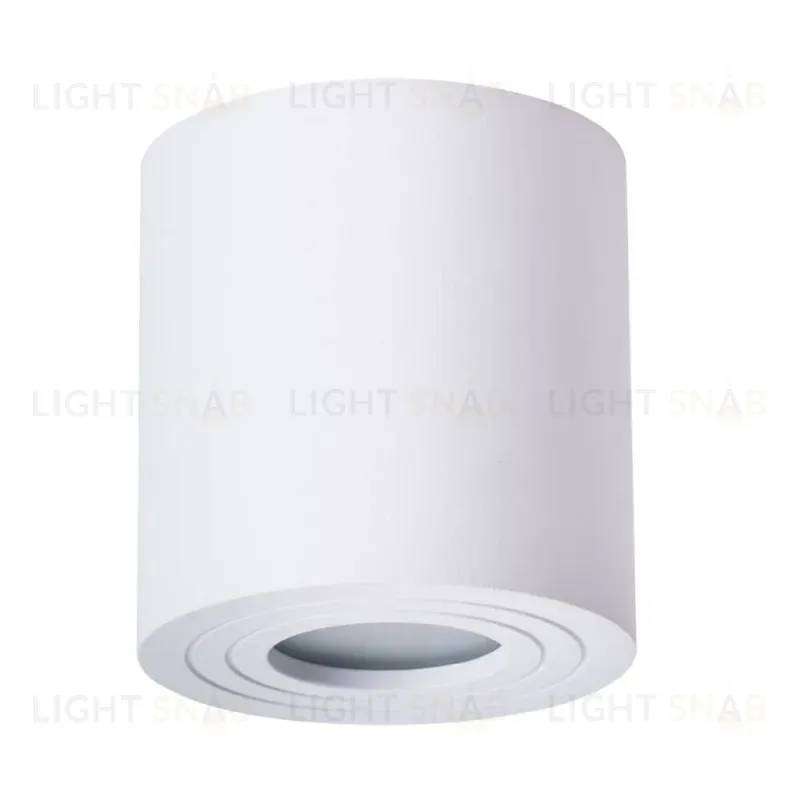 Накладной светильник ARTE Lamp A1460PL-1WH A1460PL-1WH