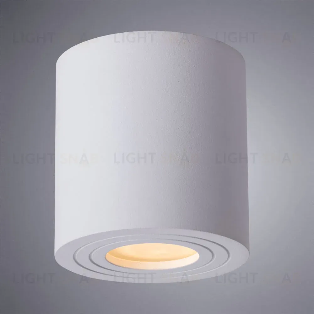 Накладной светильник ARTE Lamp A1460PL-1WH A1460PL-1WH