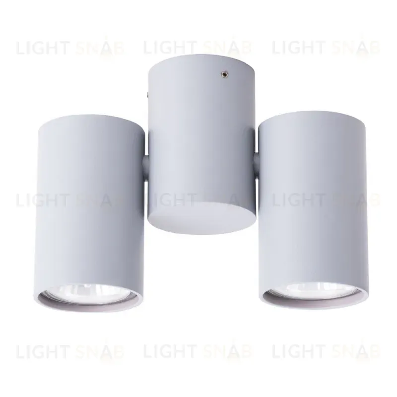 Накладной светильник ARTE Lamp A1511PL-2GY A1511PL-2GY