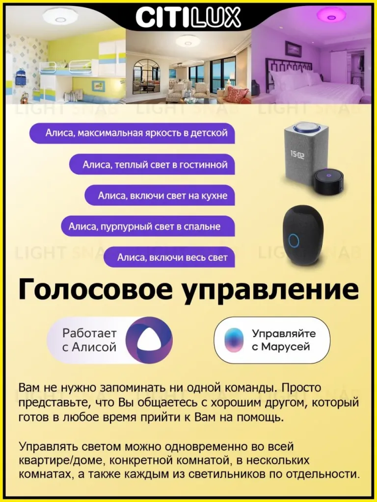 Накладной светильник Citilux CL713A100G CL713A100G