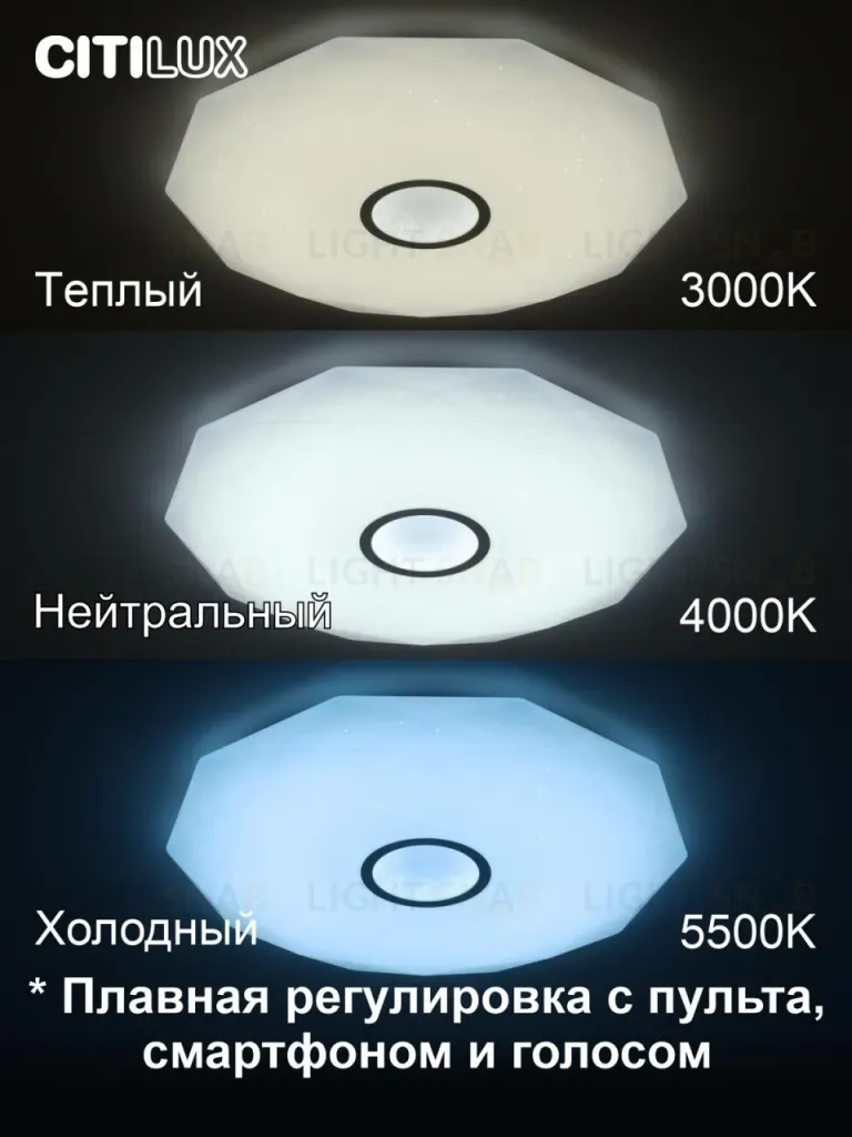Накладной светильник Citilux CL713A100G CL713A100G