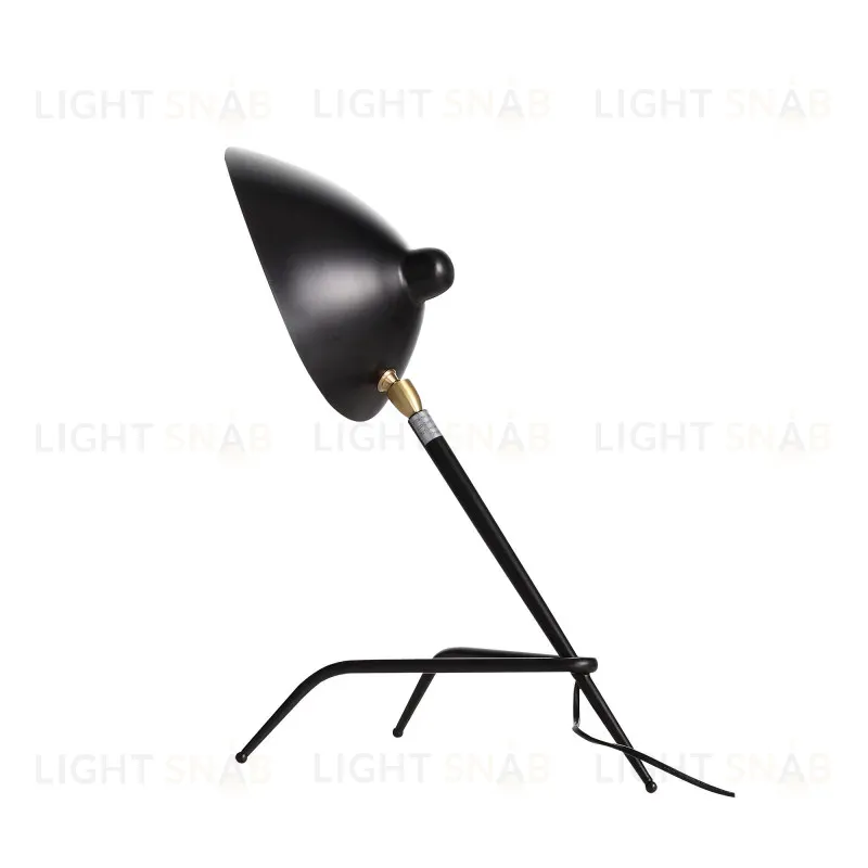 Настольная лампа ST-Luce SL305.404.01 SL305.404.01
