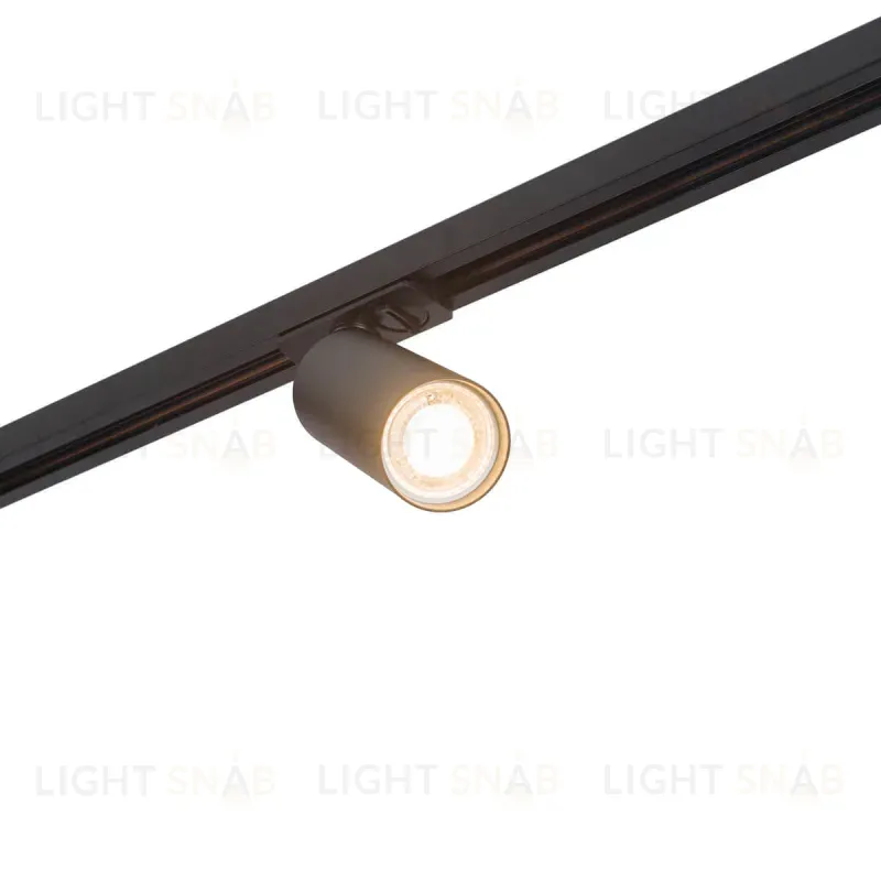 Светильник на шине Denkirs DK6202-BK DK6202-BK