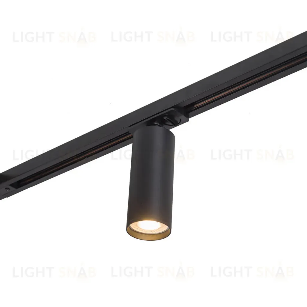 Светильник на шине Denkirs DK6202-BK DK6202-BK