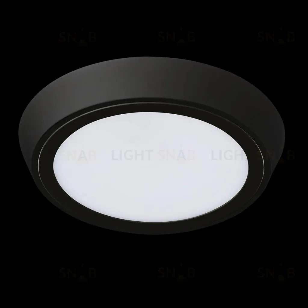 Уличный светильник Lightstar 216972 216972