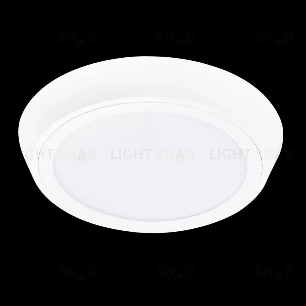 Уличный светильник Lightstar 216904 216904