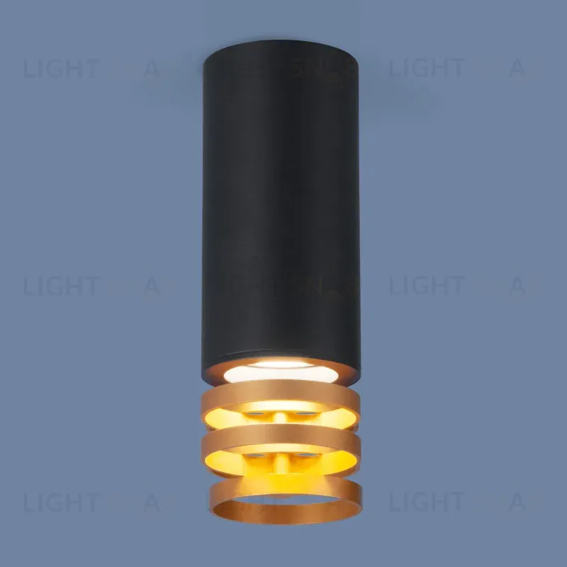 Накладной светильник Elektrostandard DLN102 GU10 черный/золото 4690389148774