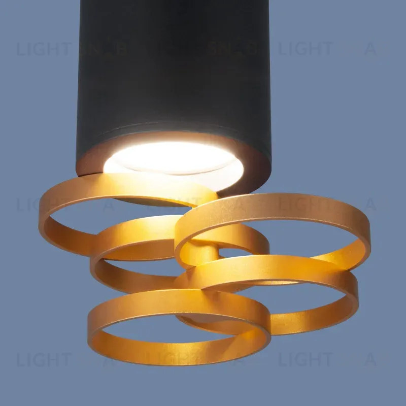 Накладной светильник Elektrostandard DLN102 GU10 черный/золото 4690389148774