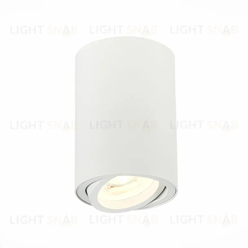 Потолочный светильник ST LUCE ST108.507.01 ST108.507.01