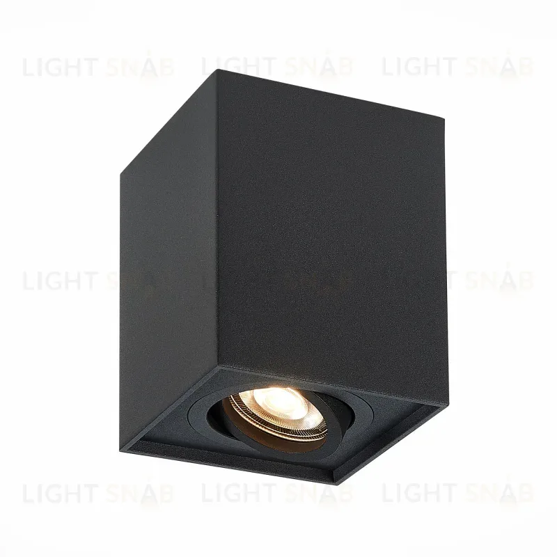 Потолочный светильник ST LUCE ST109.407.01 ST109.407.01