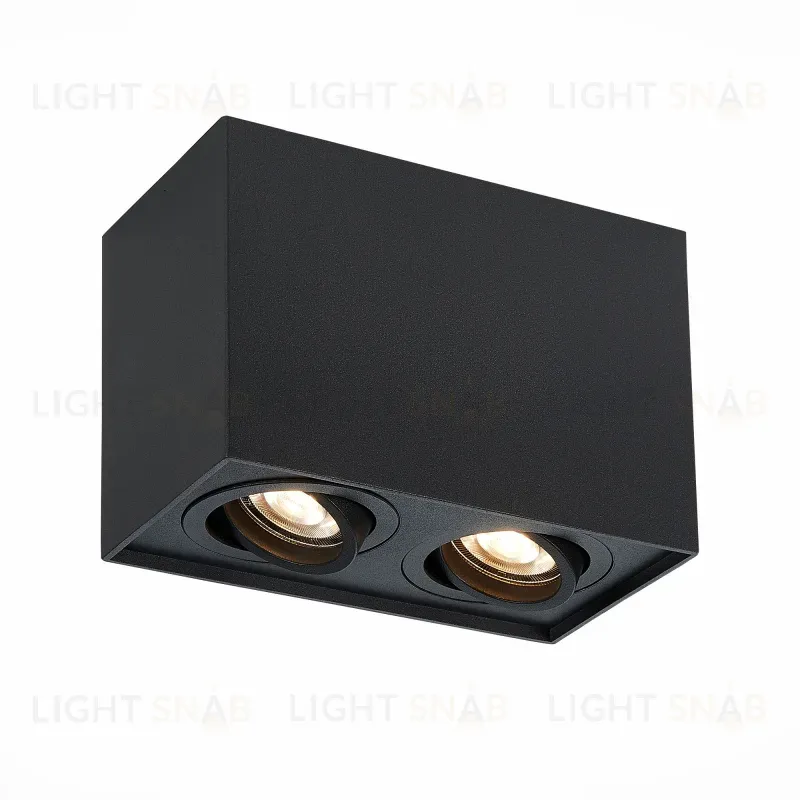 Потолочный светильник ST LUCE ST109.407.02 ST109.407.02