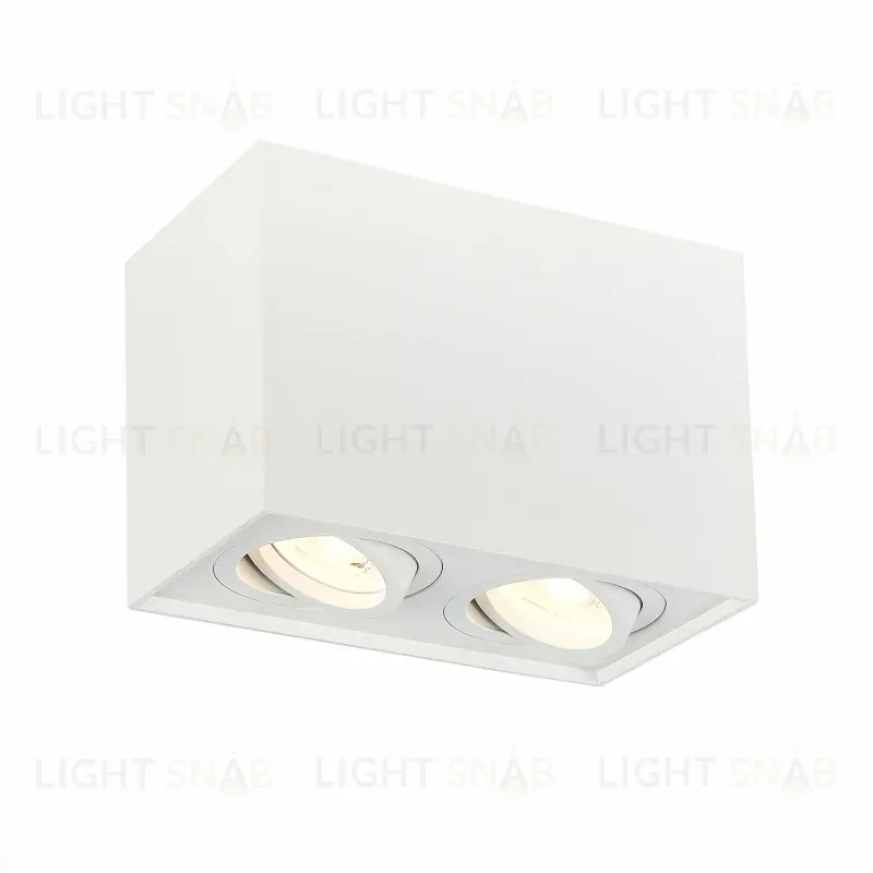 Потолочный светильник ST LUCE ST109.507.02 ST109.507.02