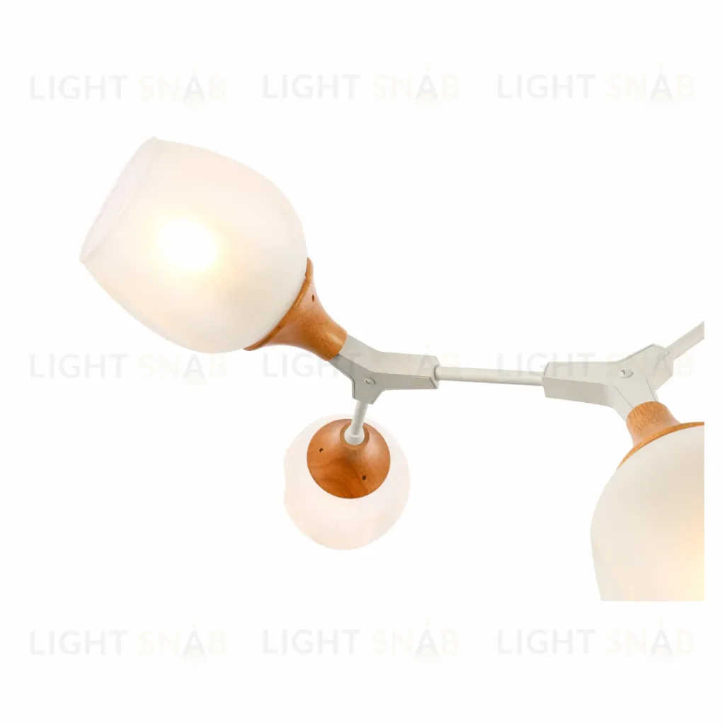 Потолочный светильник EVOLUCE CIOTOLLA SLE113502-05 SLE113502-05