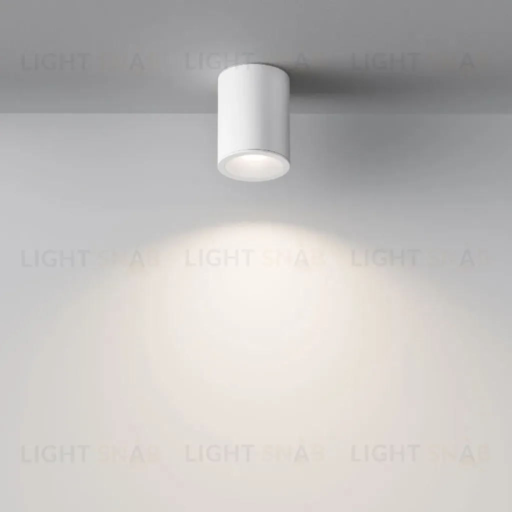 Потолочный светильник Maytoni Antares C029CL-01W C029CL-01W
