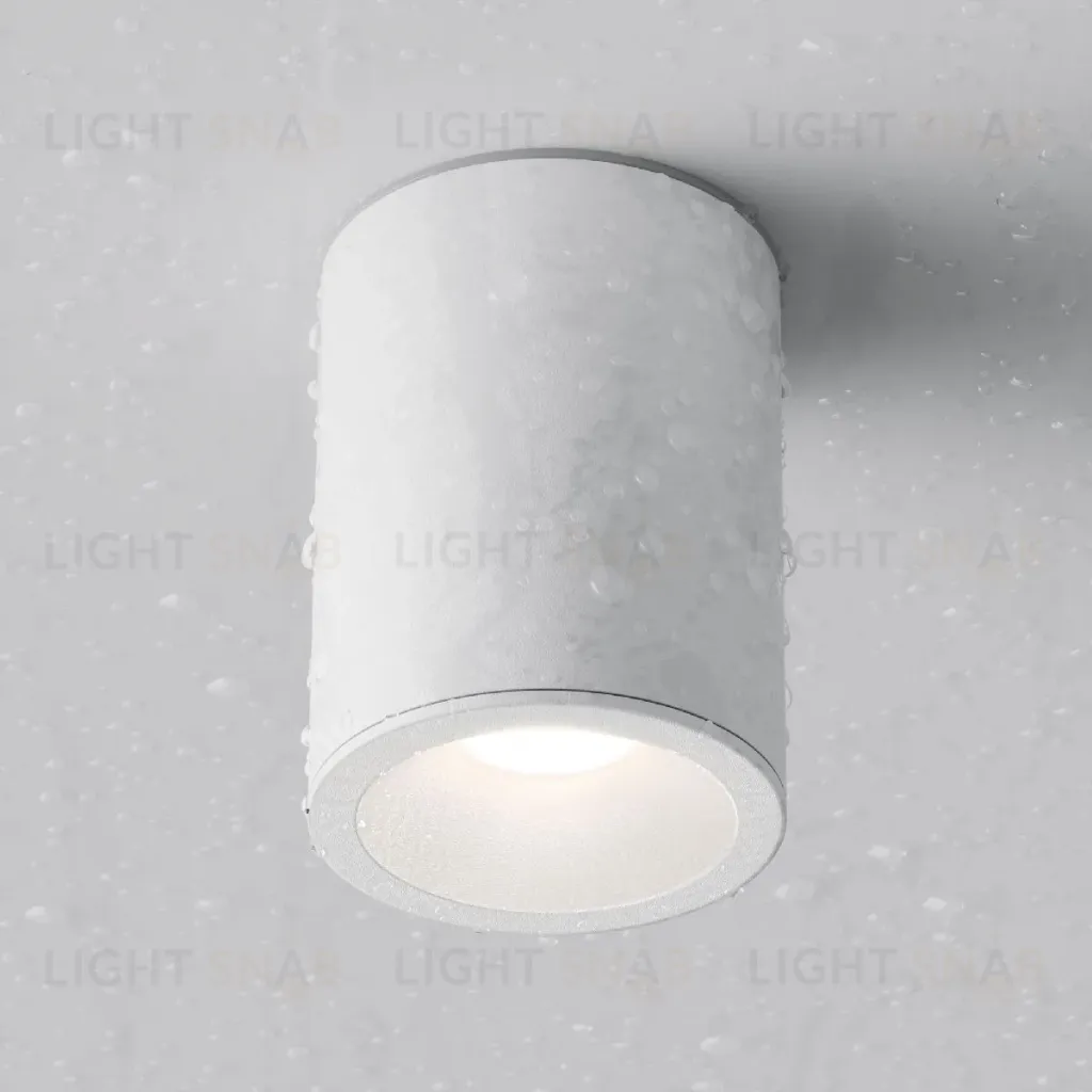 Потолочный светильник Maytoni Antares C029CL-01W C029CL-01W