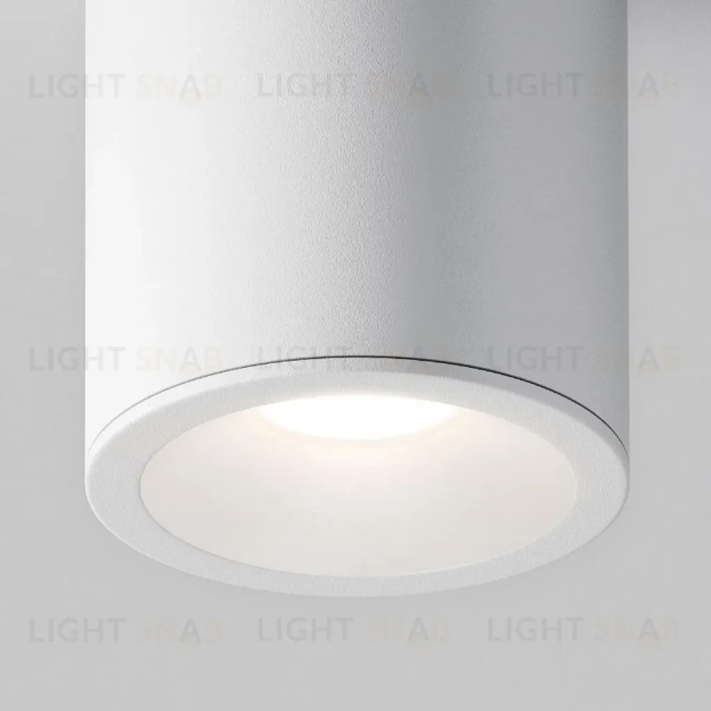 Потолочный светильник Maytoni Antares C029CL-01W C029CL-01W