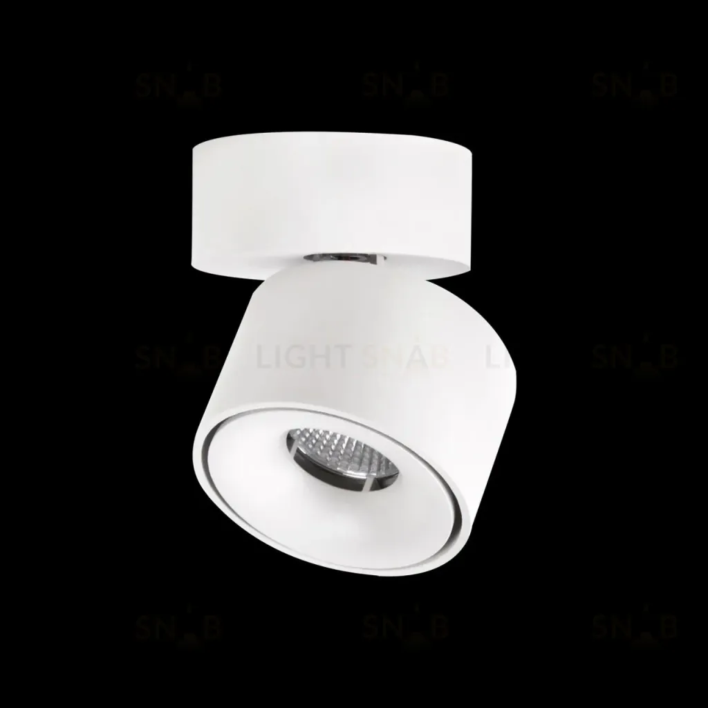 Спот Citilux CL558010N CL558010N