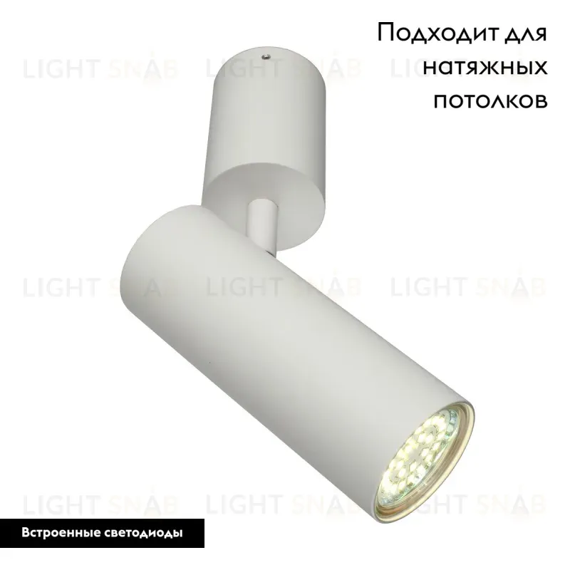 Настенно-потолочный светильник Aployt Berenis APL.007.02.01 APL.007.02.01