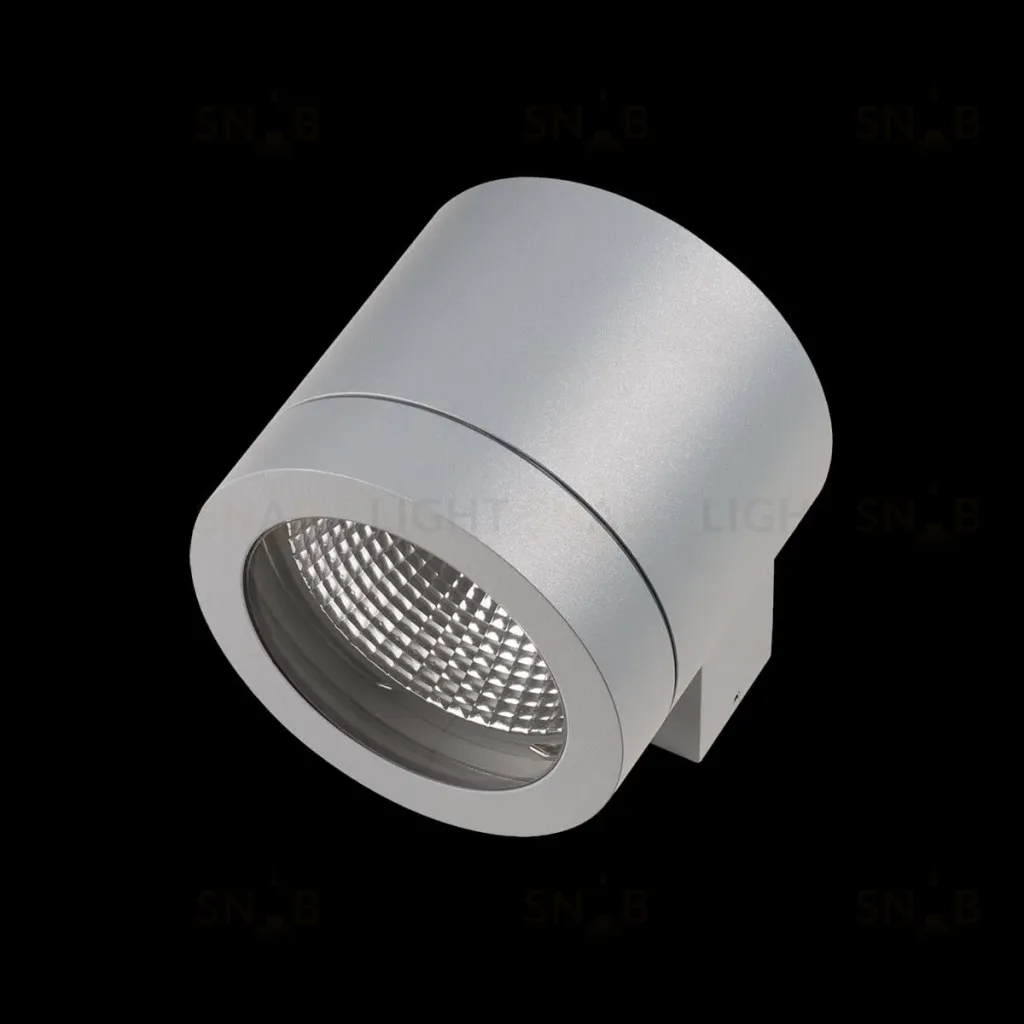 Уличный настенный светильник Lightstar Paro 350619 350619