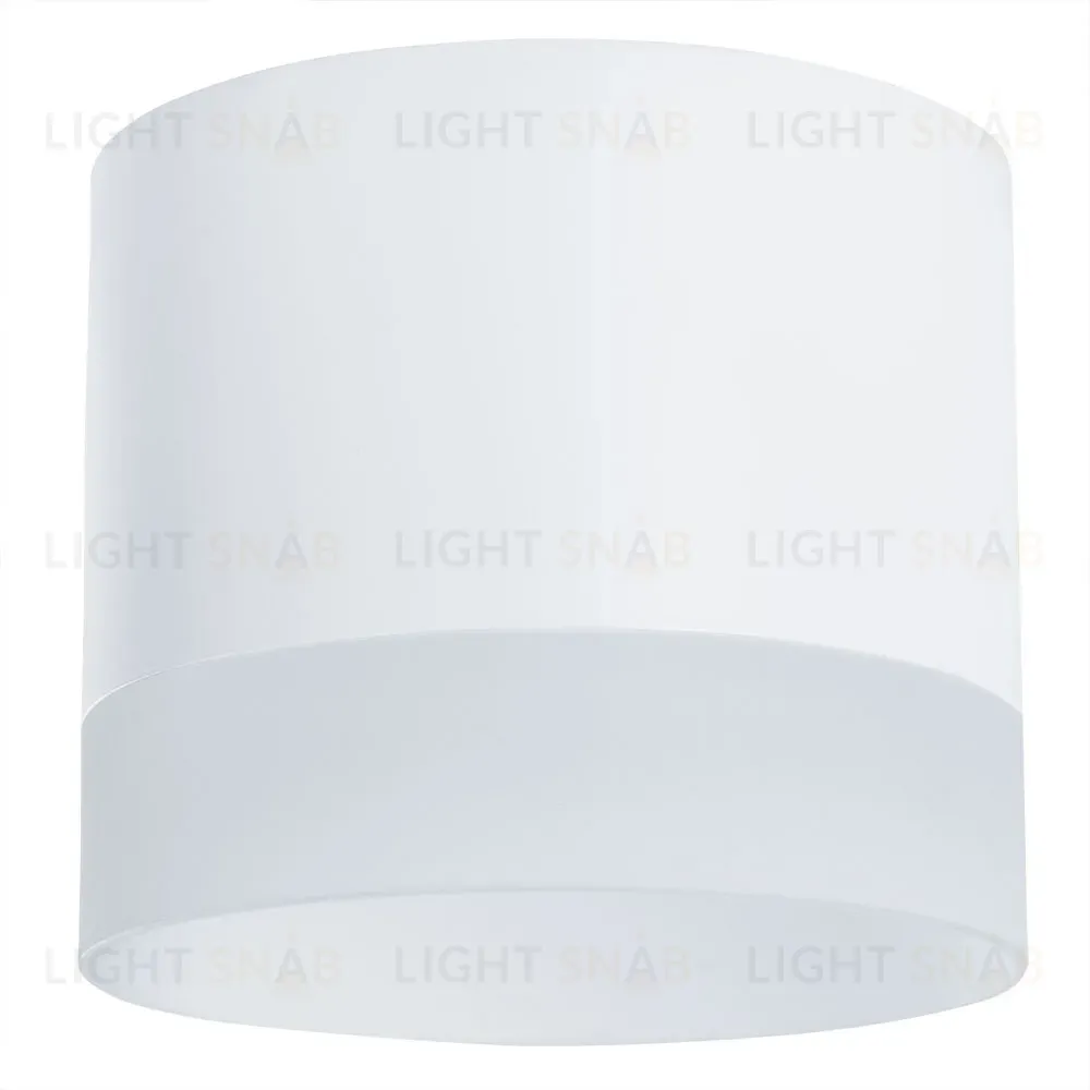 Потолочный светильник Arte Lamp Castor A5554PL-1WH A5554PL-1WH