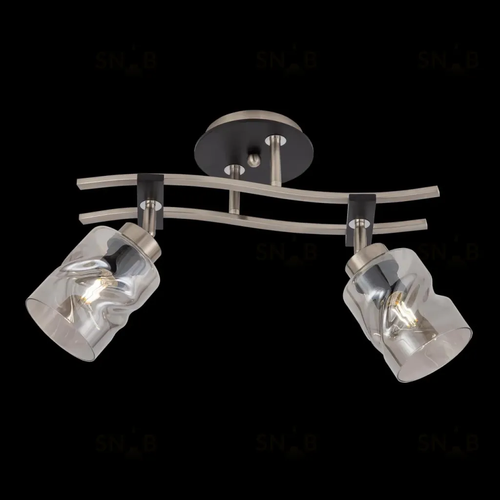 Спот Citilux Мерида CL142125 CL142125
