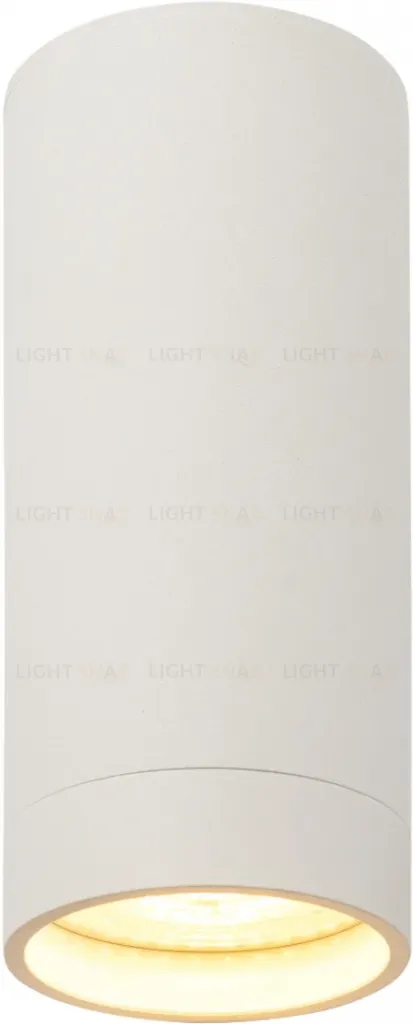 Накладной светильник Denkirs DK2051-WH DK2051-WH