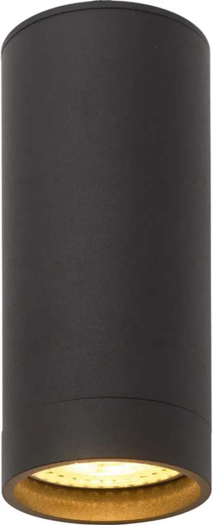 Накладной светильник Denkirs DK2051-BK DK2051-BK