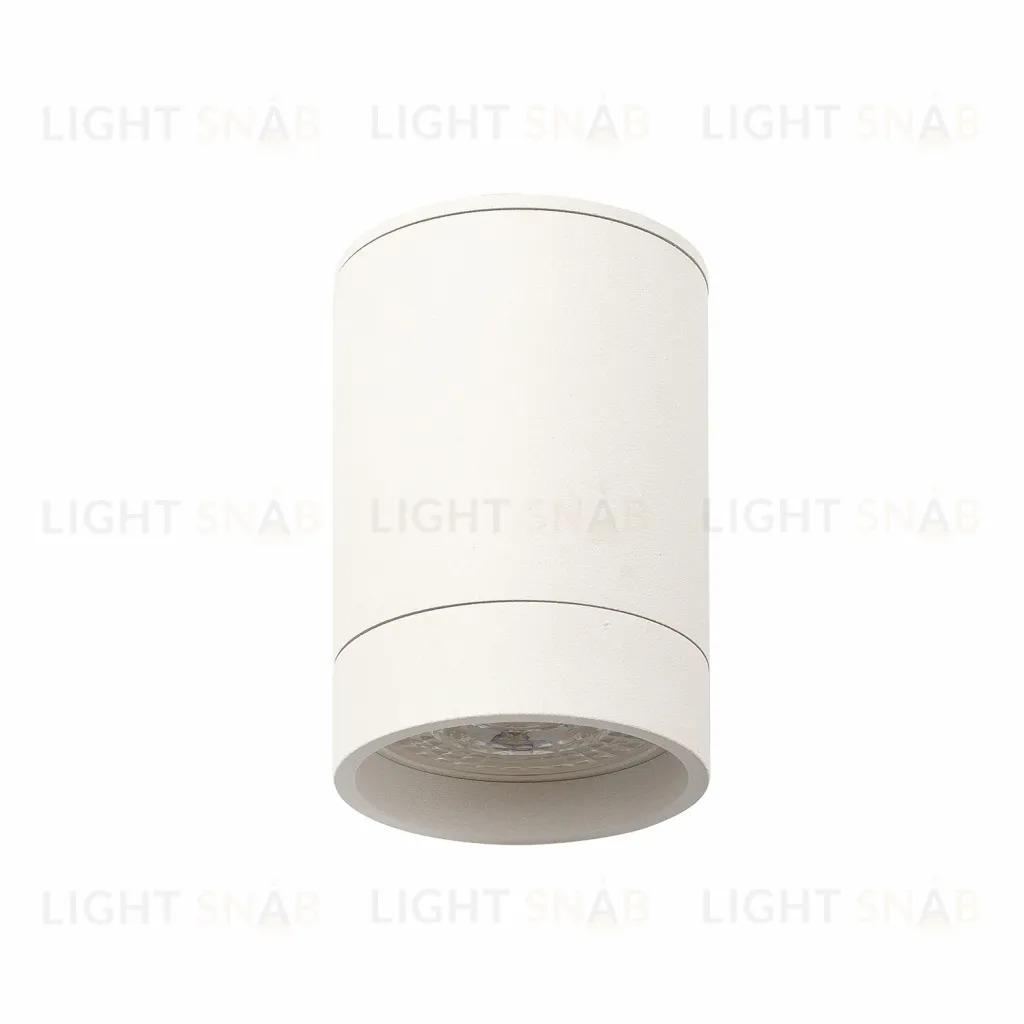Накладной светильник Denkirs DK2050-WH DK2050-WH