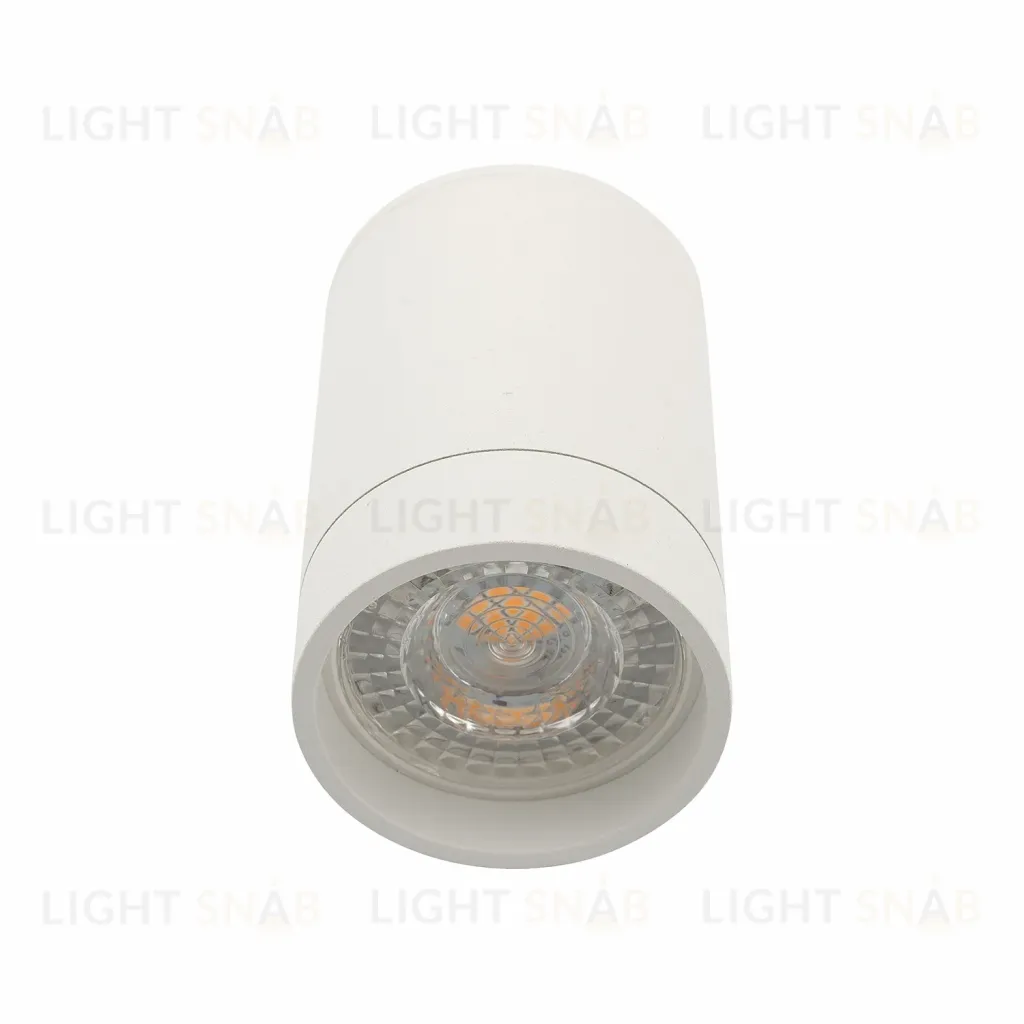 Накладной светильник Denkirs DK2050-WH DK2050-WH
