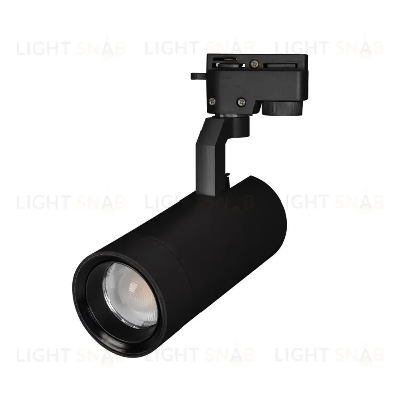 Трековый светодиодный светильник Arlight LGD-Gelios-2TR-R80-30W Day4000 031243 031243