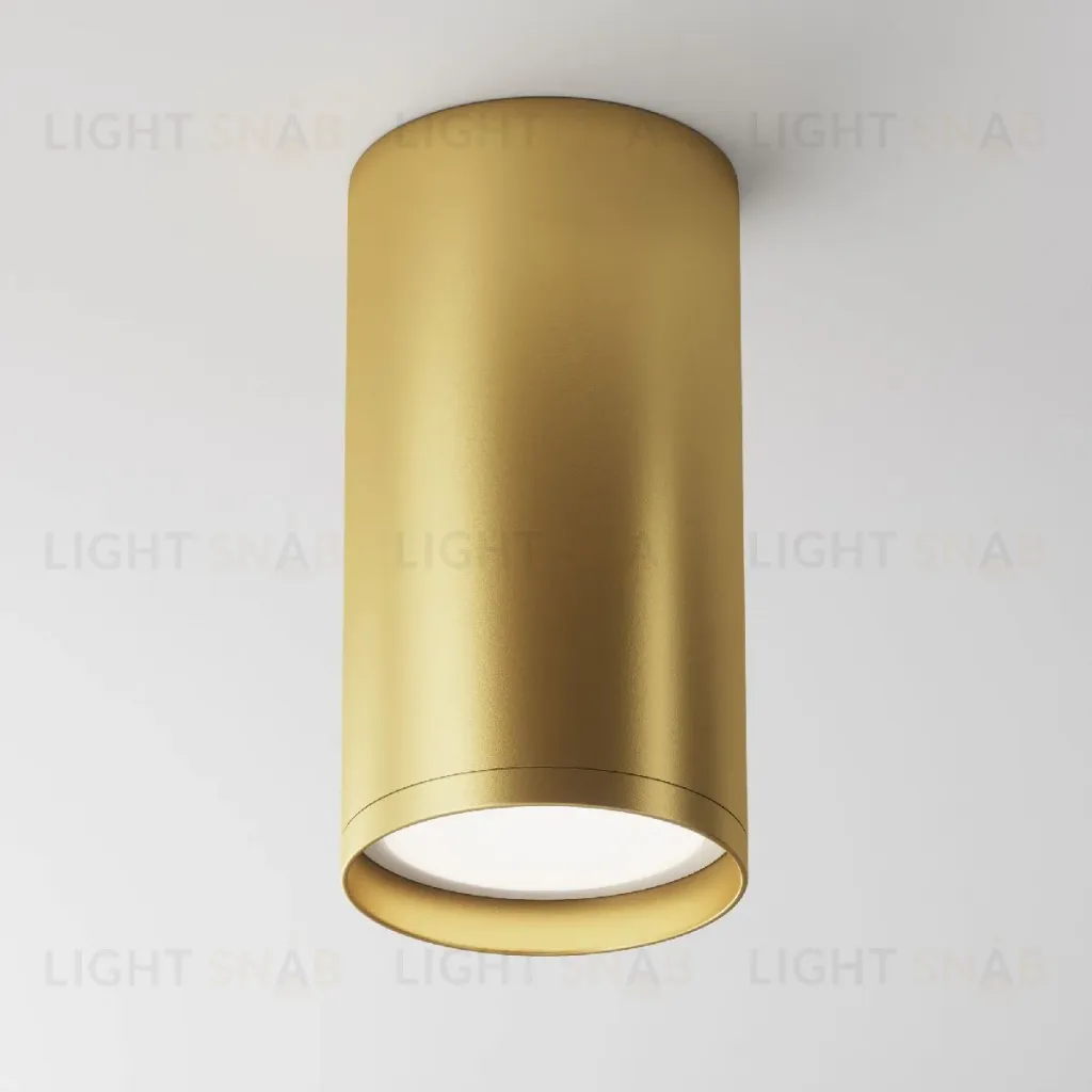 Потолочный светильник Maytoni FOCUS S C052CL-01MG C052CL-01MG