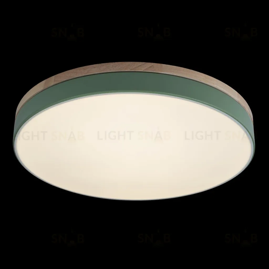 Потолочный светильник Loft IT AXEL 10001/36 Green 10001/36 Green
