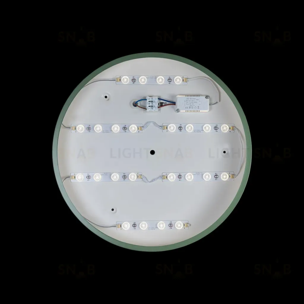 Потолочный светильник Loft IT AXEL 10002/24 Green 10002/24 Green