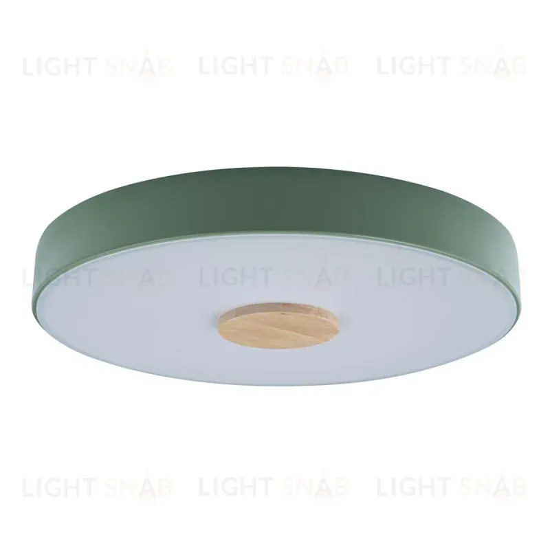 Потолочный светильник Loft IT AXEL 10003/24 Green 10003/24 Green